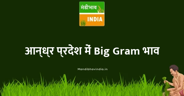 Big Gram भाव